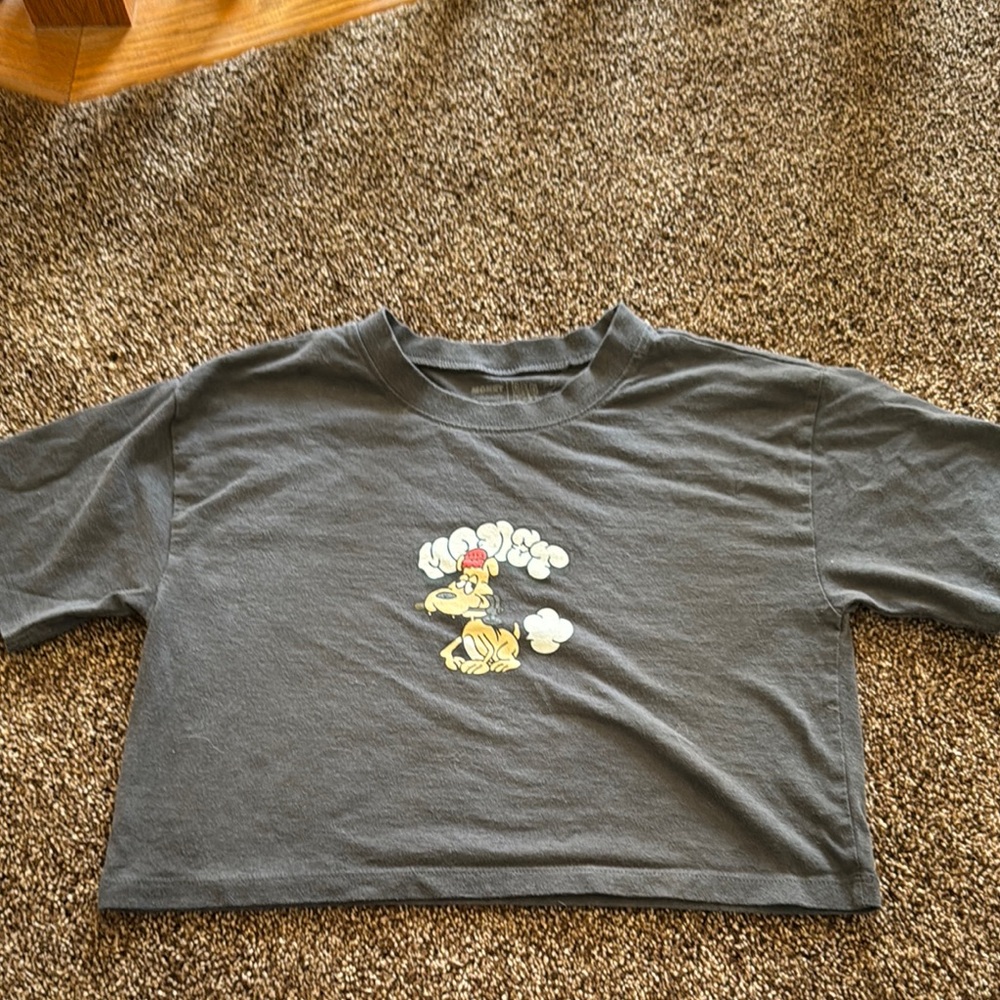 Gray Crew Neck Crop T-Shirt